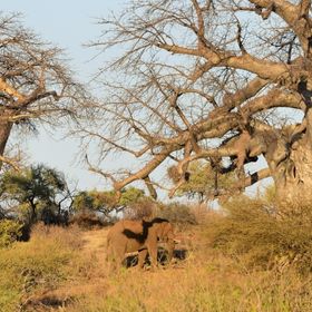 Kruger National Park