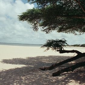 Lamu Island