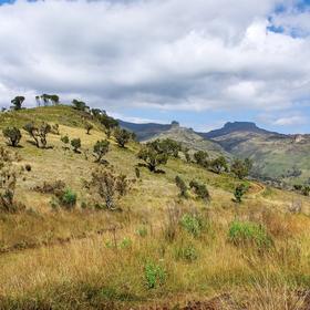 Mount Elgon