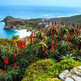 The Cape of Good Hope