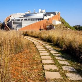 The Cradle of Humankind