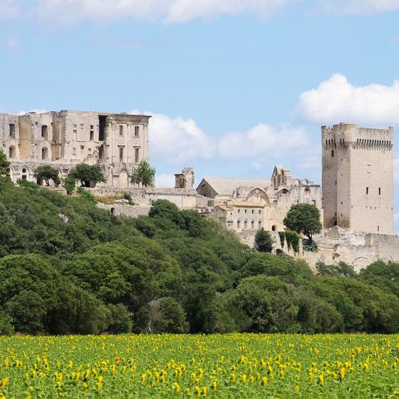 Abbaye de Montmajour