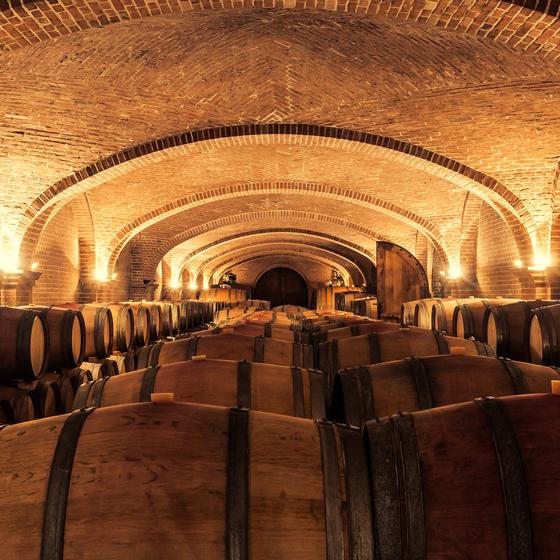 Domaine Bertaud Belieu