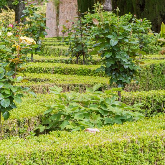 Jardin des Doms