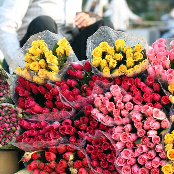 Le Marché Aux Fleurs