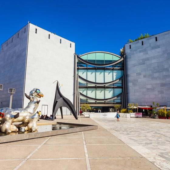 Musée d'Art Moderne et d'Art Contemporain (MAMAC)