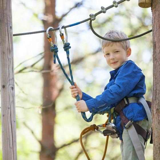 Adventure Park Suspended In Green