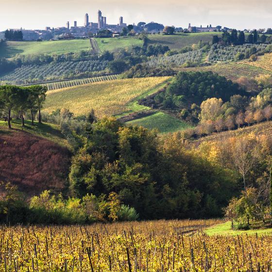 Berignone Nature Reserve
