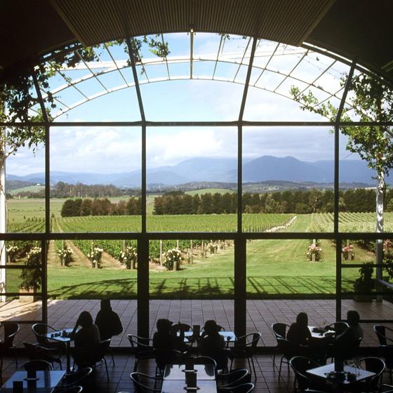 Bosco de' Medici Winery