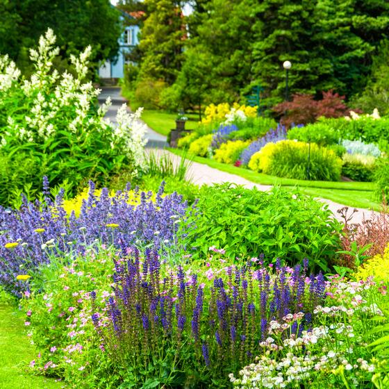 Botanical Garden