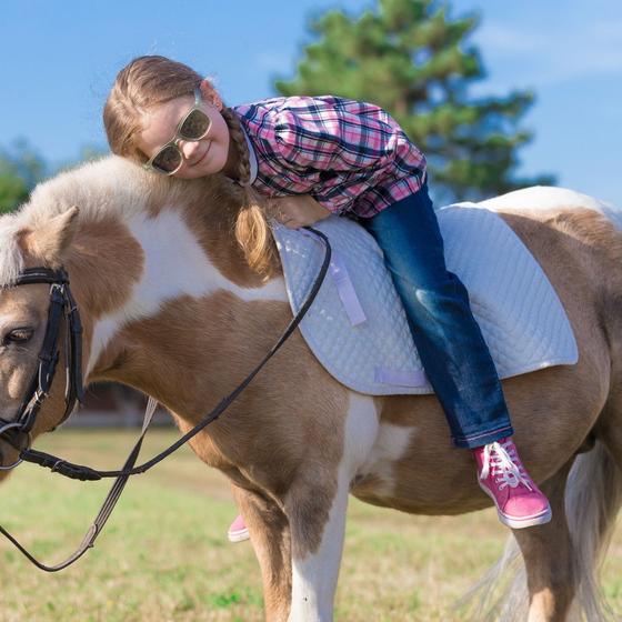 Center Equetre Semur En Auxois