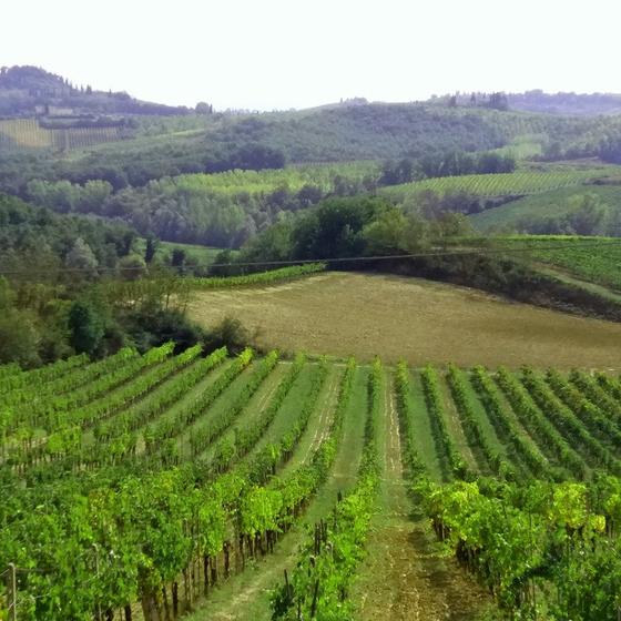 Domaine Terres Destel