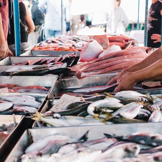 Fish market