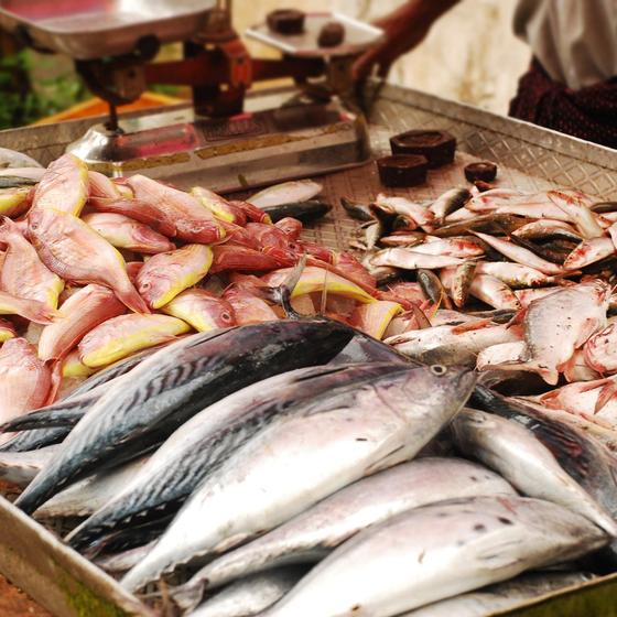 Fish market