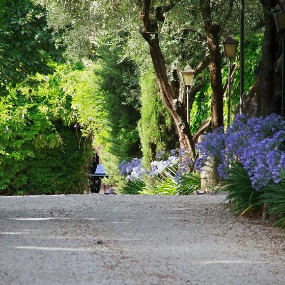 Giardino dell'Orticoltura