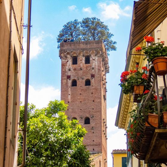 Guinigi Tower