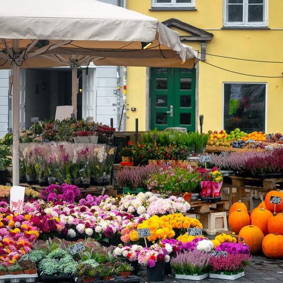 Il mercato di Piazza Erbe
