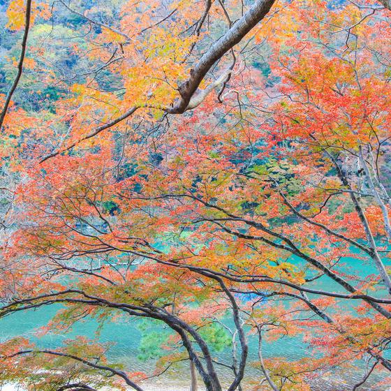 Kameyama Park