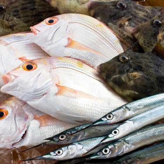 Kanazawa Port Iki Iki Market