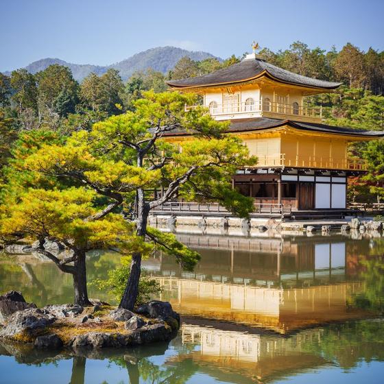 Kinkaku-ji temple (the Golden Pavilion)