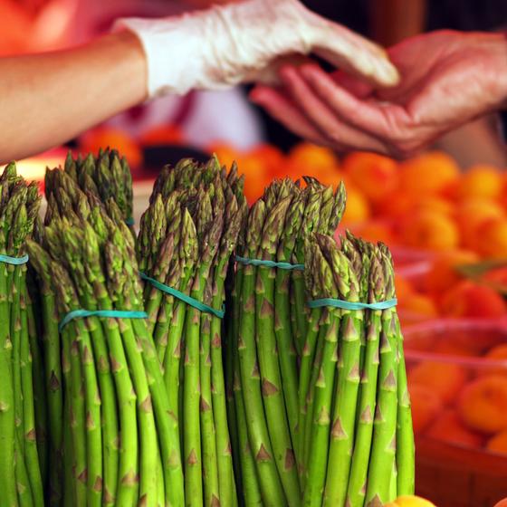 Lucca Farmers Market