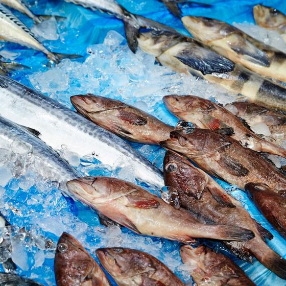 Marché aux poissons