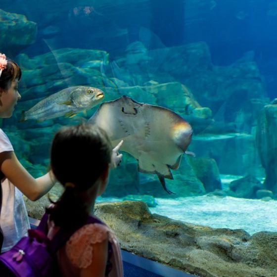 Marineland