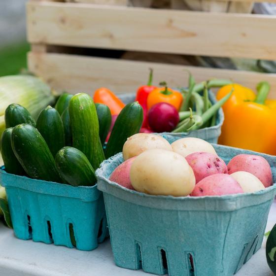 Nagano Farm Stay