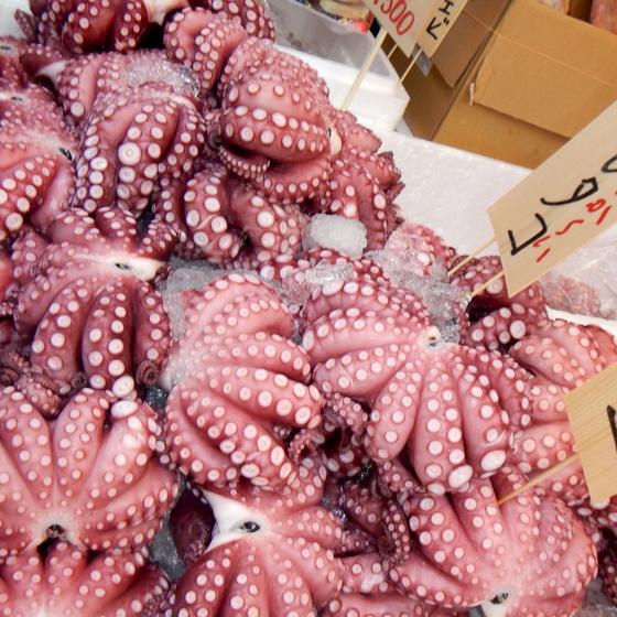 Omiya Food Wholesale Market