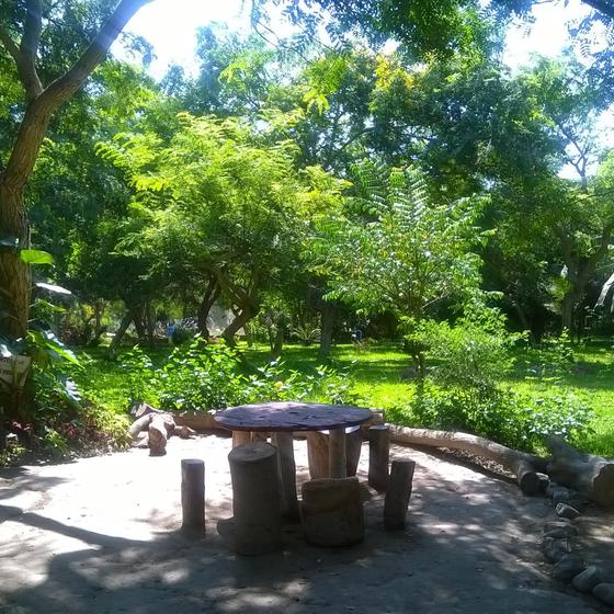 Orto Botanico Comunale di Lucca
