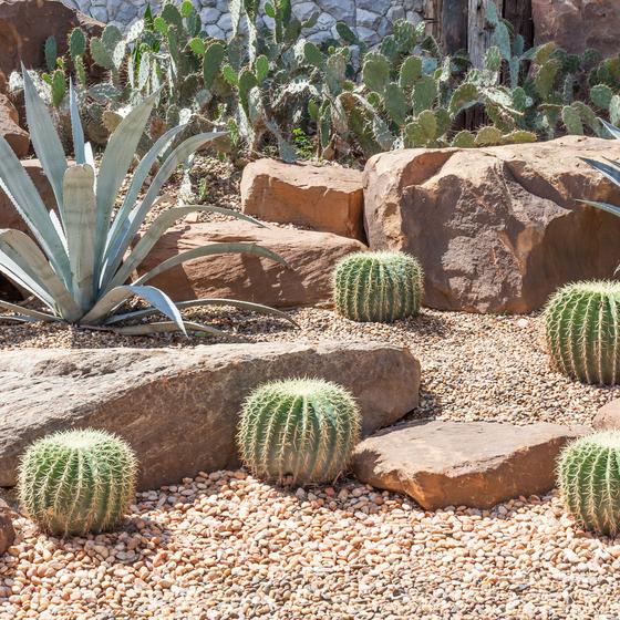 Orto Botanico dell'Università di Siena