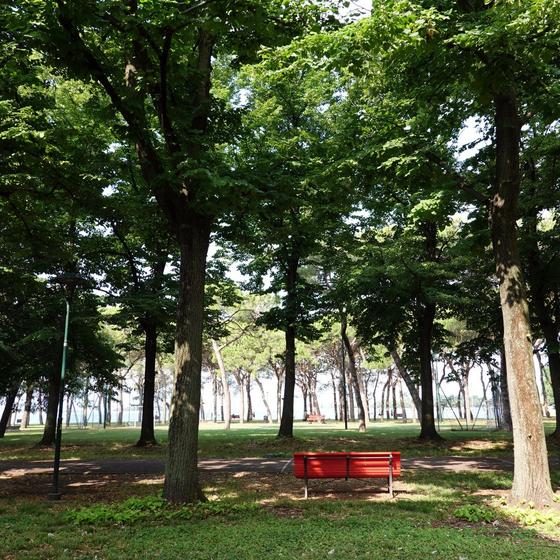 Parco delle Cascine