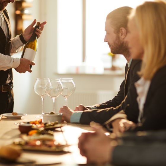 Piedmont Wine Tours, Alba Travel Guide