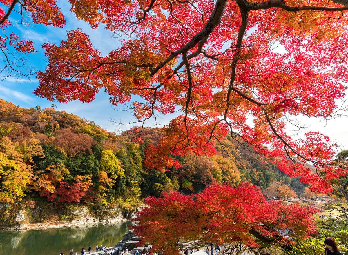Saitama