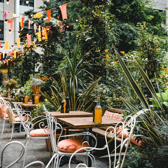 Serre Torrigiani (garden restaurant)
