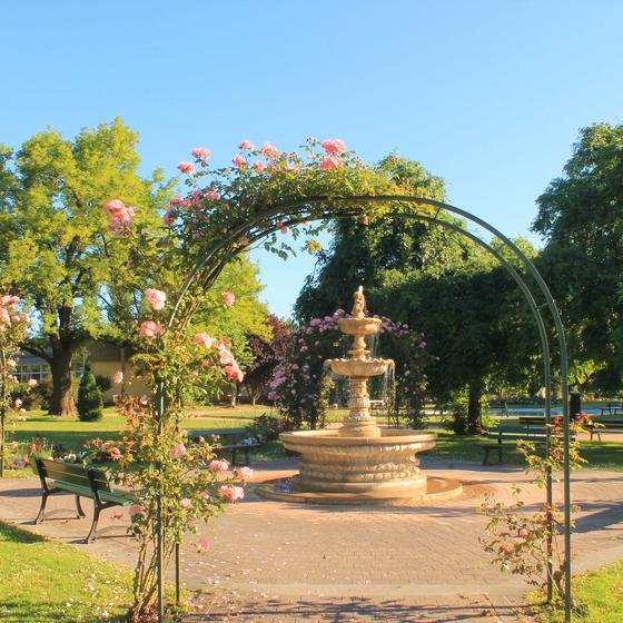 The Garden of Personalities