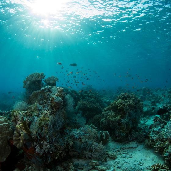Underwater Archaeological Park of Baia