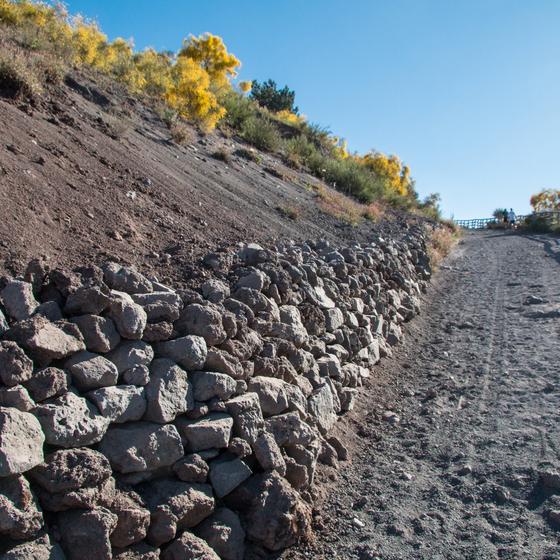 Vesuvio National Park
