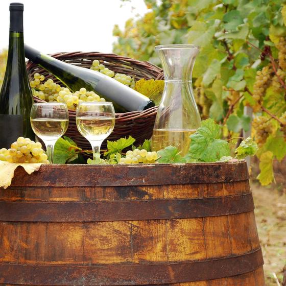 Weingut Plonerhof