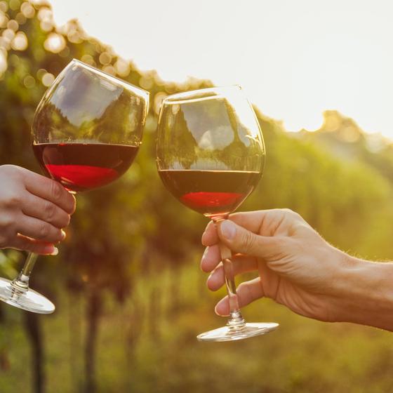 Winery San Giorgio a Lapi