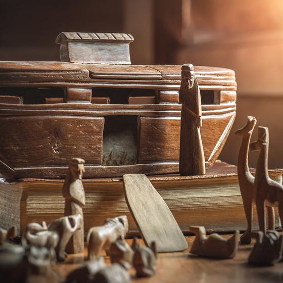 Wooden toy store