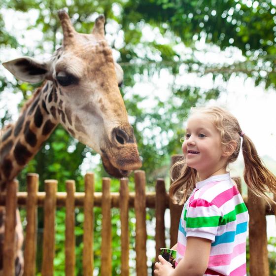 Zoosafari