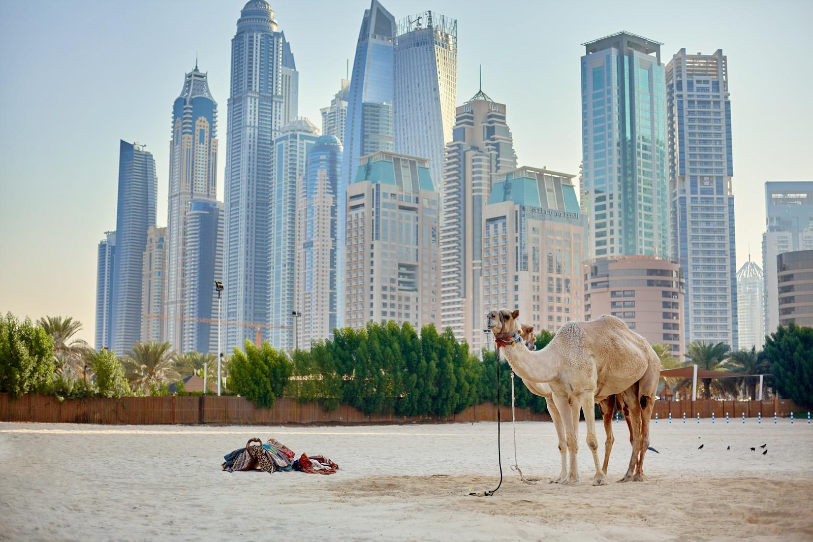 دبي