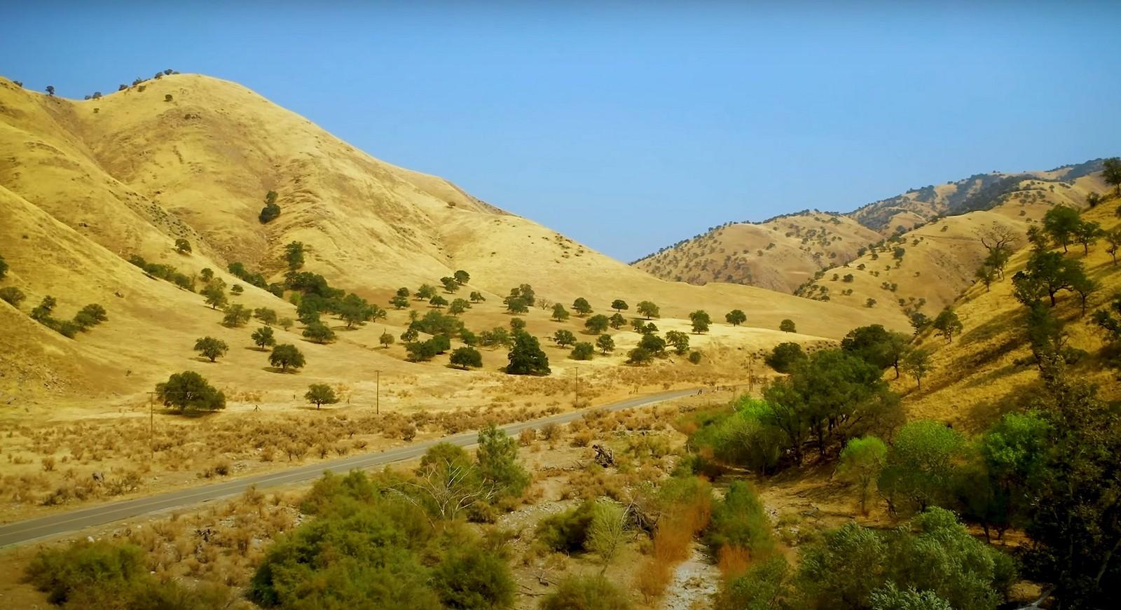 شهر العسل في دبي